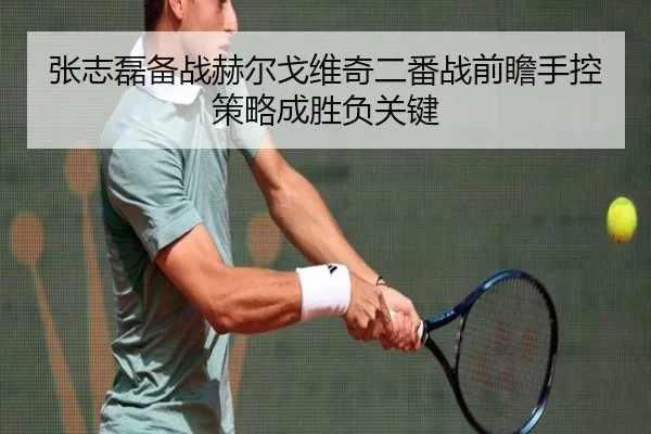 张志磊备战赫尔戈维奇二番战前瞻手控策略成胜负关键